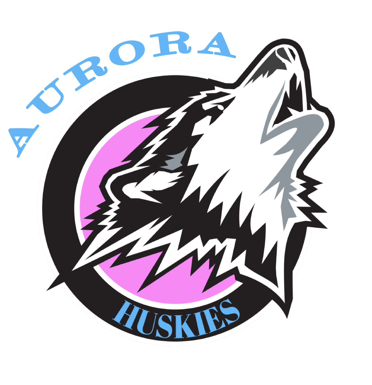 U9 AURORA HUSKIES Fort McMurray Minor Hockey
