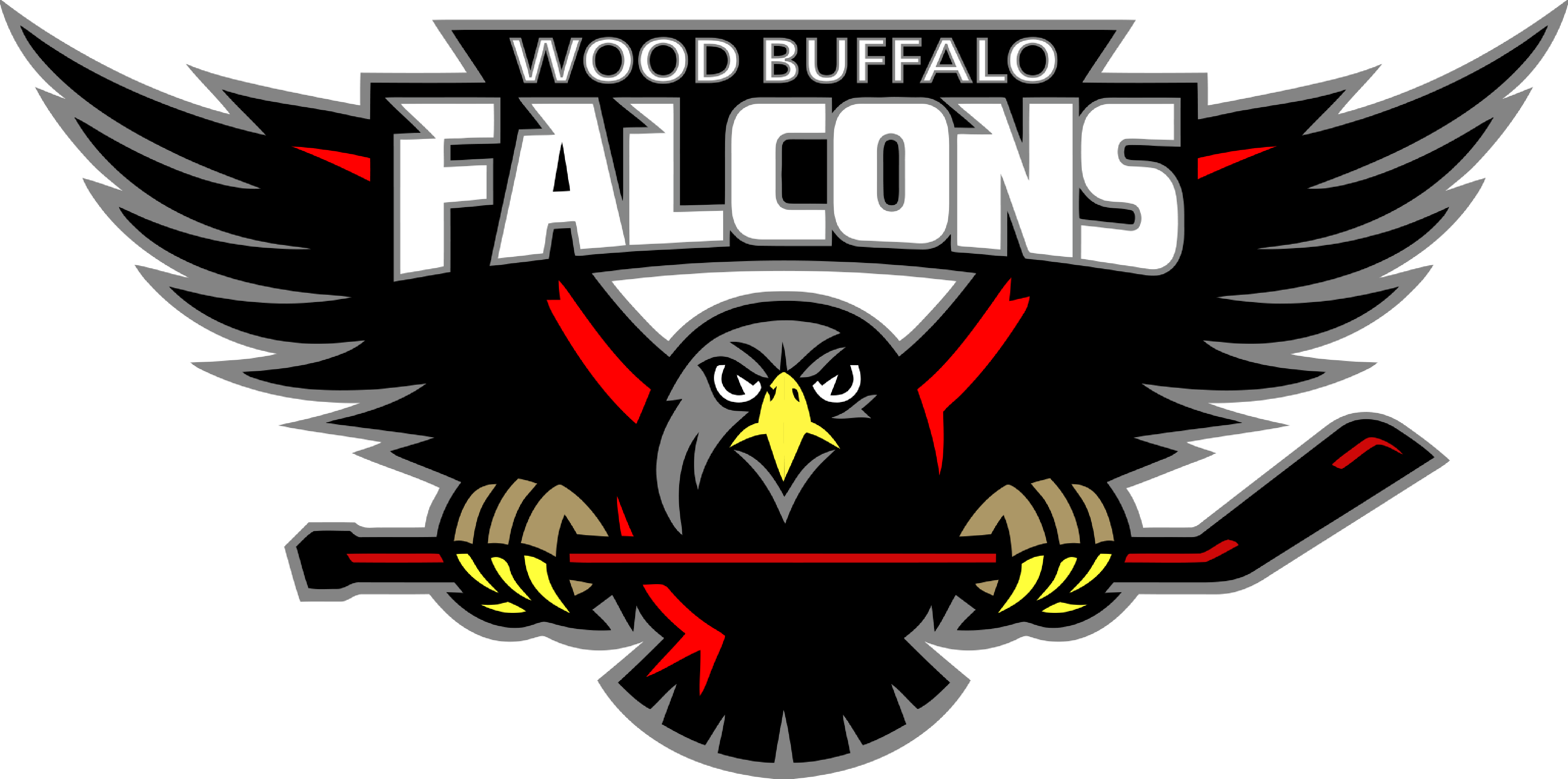 FALCONS (3)