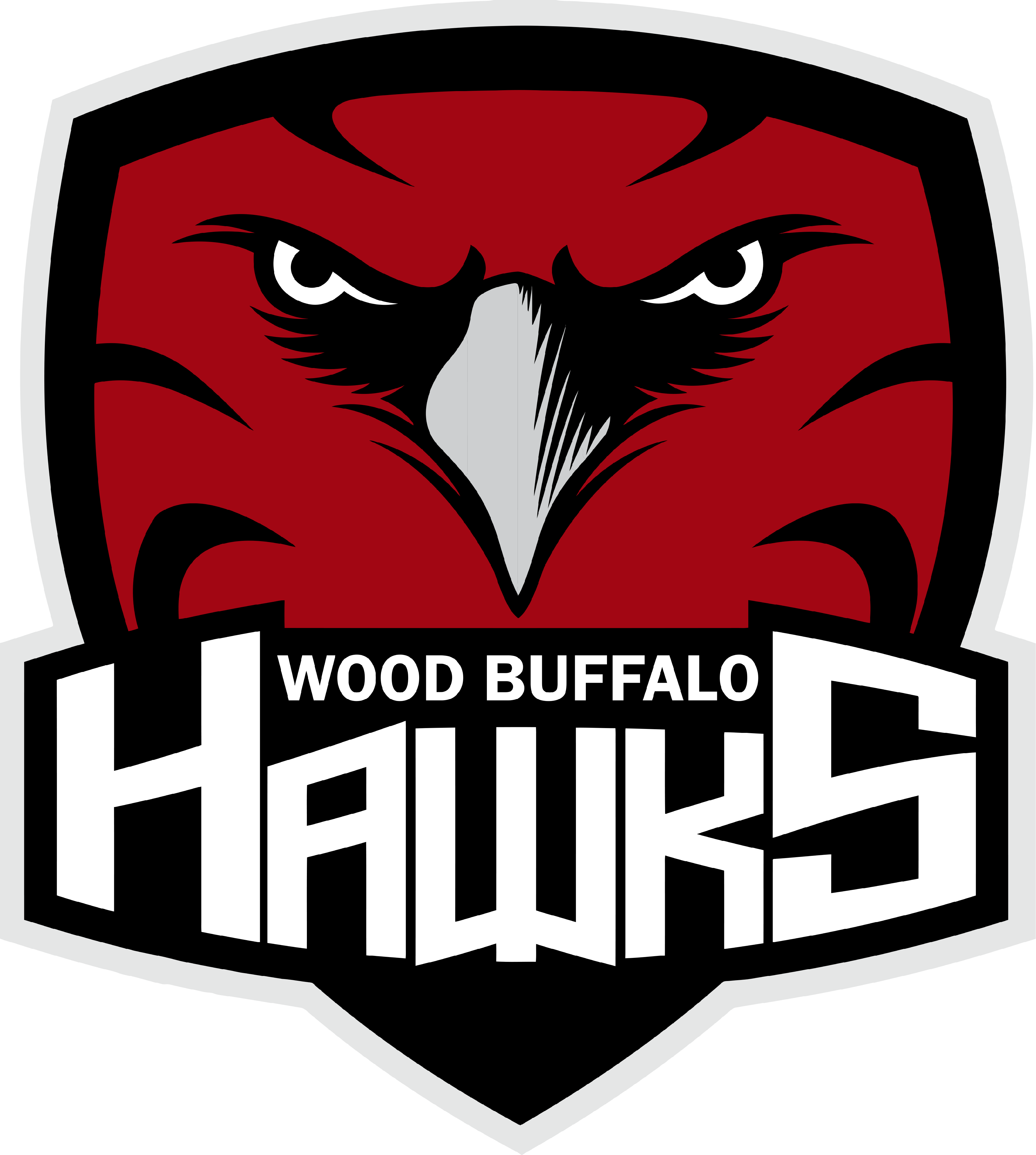 HAWKS (2)