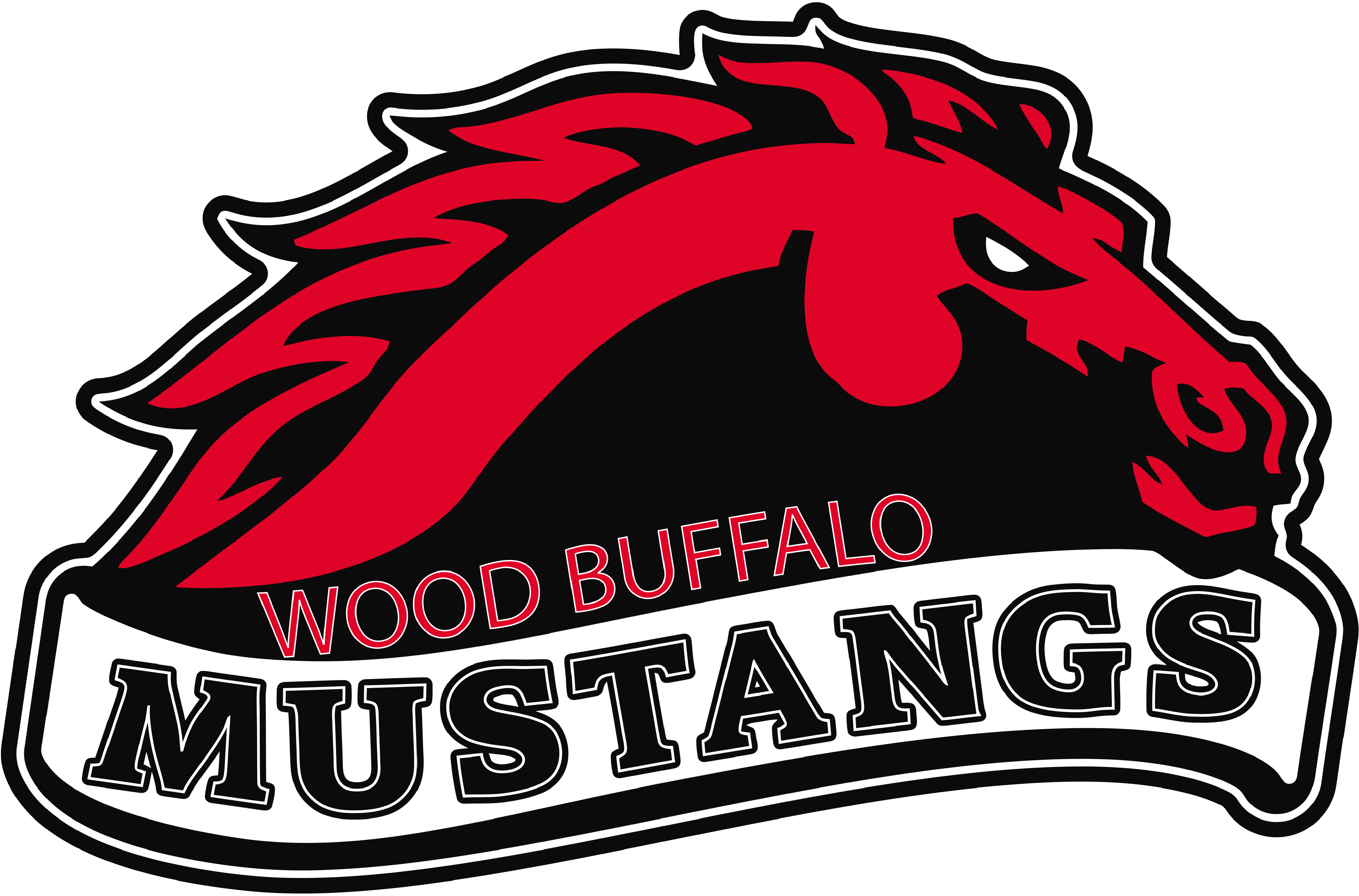 MUSTANGS (2)