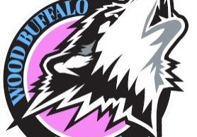 huskies (2)