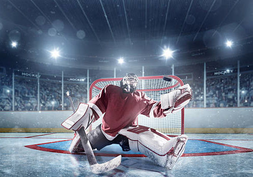 View of professional ice hockey player during game in indoor arena full of spectators